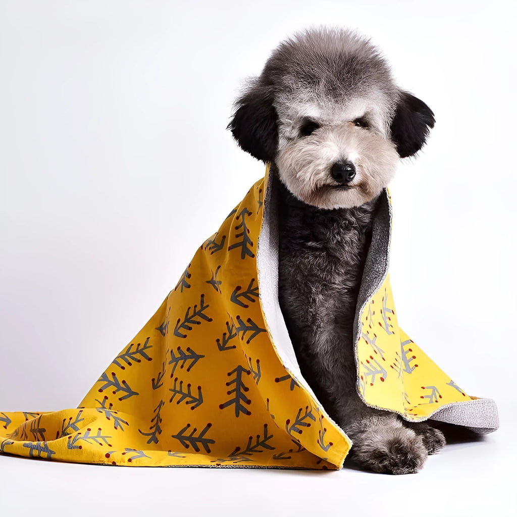 Colourful double-sided cotton pet blanket with dinosaur print, shown next to a dog bed.