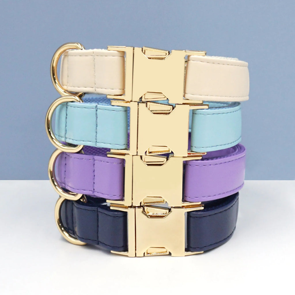 Leather dog collar with velvet texture section in colour block design, shown on a buckle.
