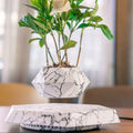 Hexagonal wood grain magnetic levitating plant pot floating above circular base
