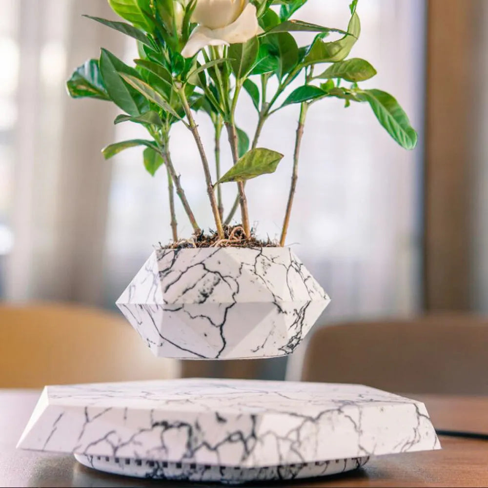 Hexagonal wood grain magnetic levitating plant pot floating above circular base
