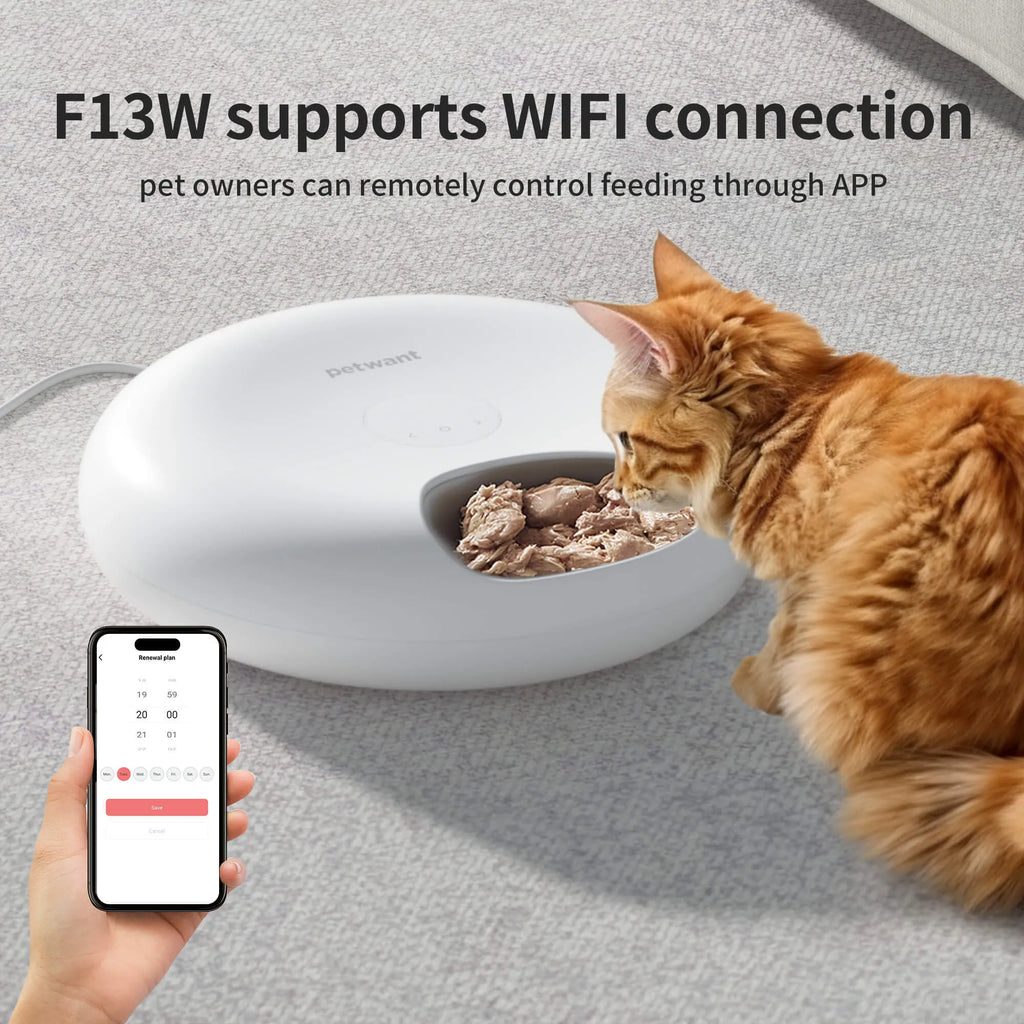 Donut Frost WiFi automatic pet feeder with app control display, six food compartments, and two ice packs.