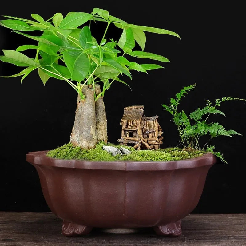 Large purple sand ceramic diamond flower pot for indoor bonsai, in dark violet or purplish red