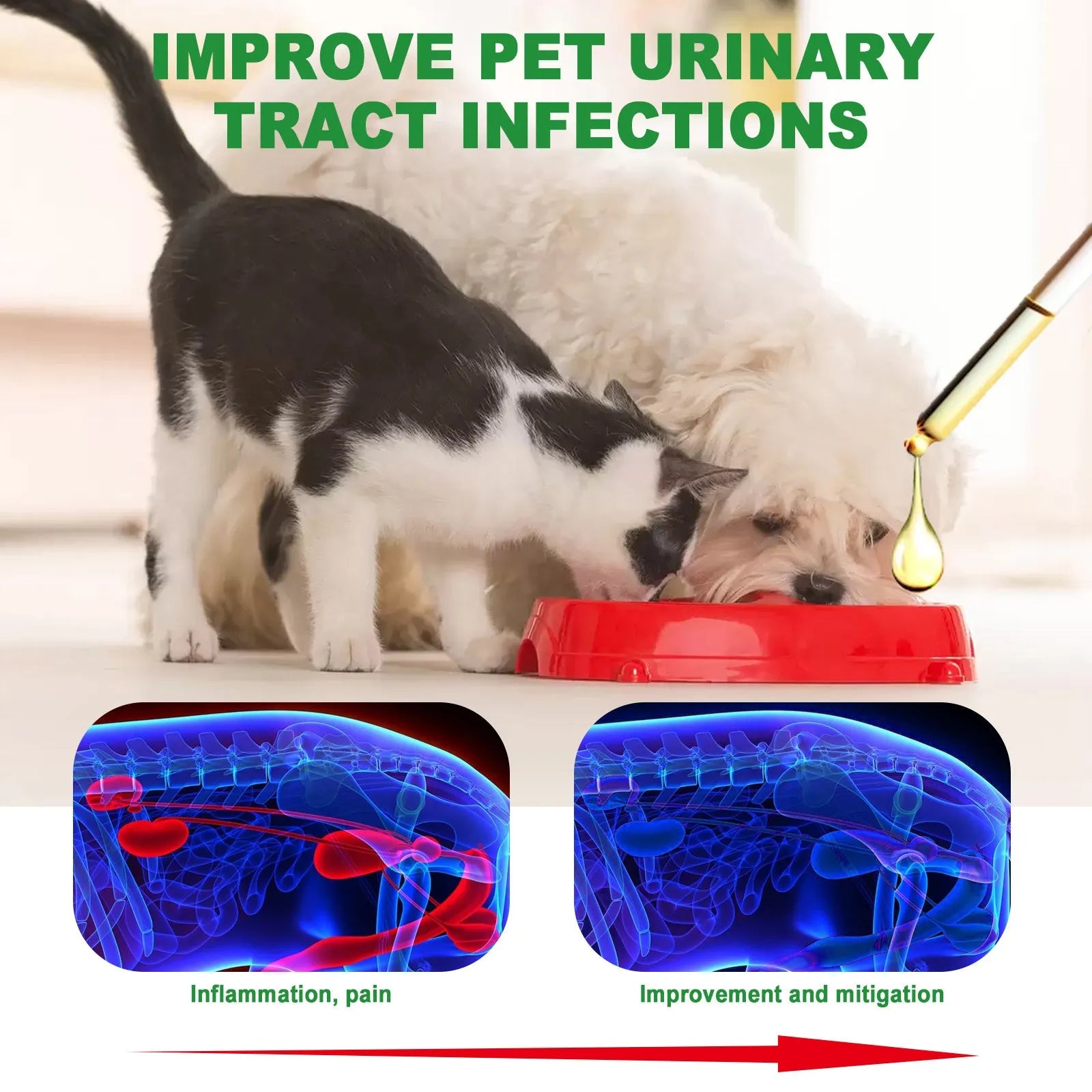 60ml pet pain relief drops bottle with natural herbal ingredients including cranberry and echinacea extracts