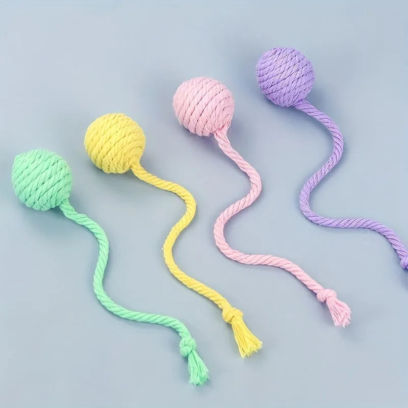 Colourful cat toy ball with attached rope and internal bell mechanism in green, pink, purple, or yellow options