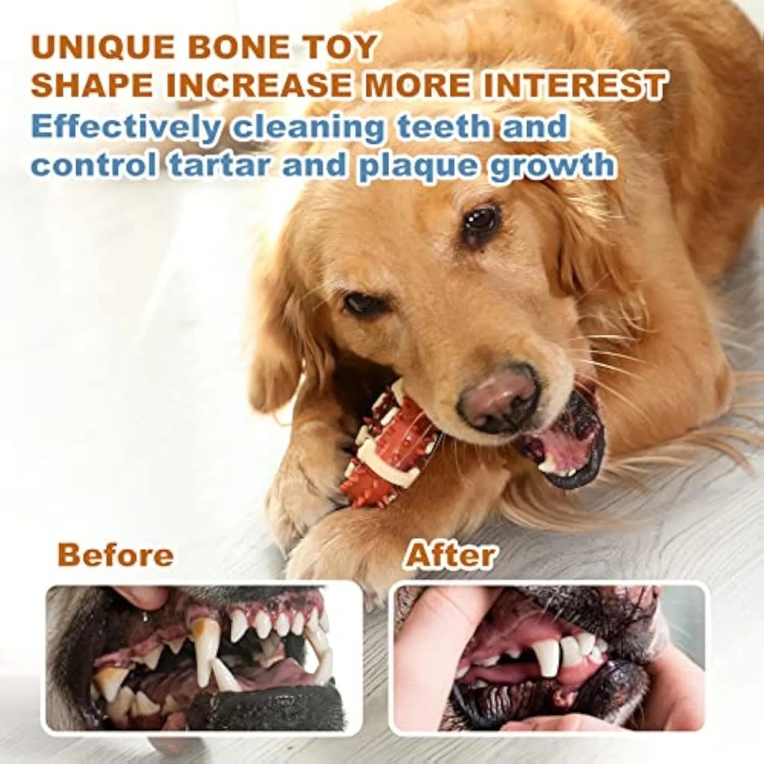 Bone-shaped natural rubber dog toy for teeth grinding in two sizes, 15cm and 12.5cm, on a white background