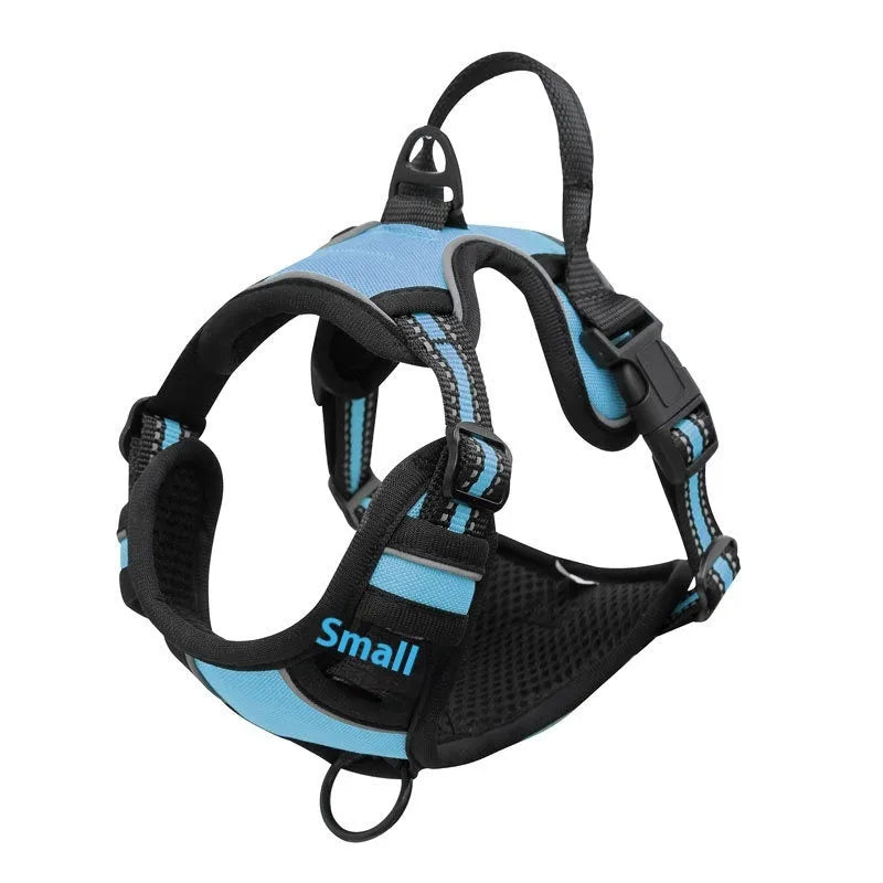 Adjustable dog chest strap in Oxford cloth, shown in multiple colour options.