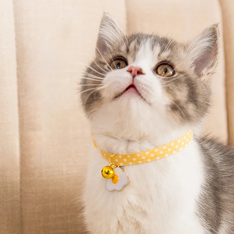 Adjustable cat collar with bell pendant and bow tie on small dog showing 17-33cm sizing range
