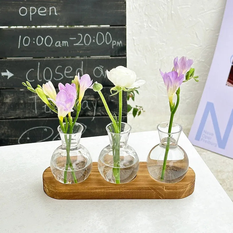 Wooden frame holding transparent PET hydroponic vases in wood colour, arranged neatly for plant display