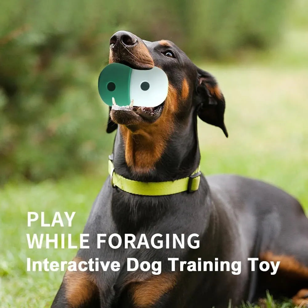 White and blue dog treat puzzle ball on floor, 8cm diameter, for interactive play with small dogs