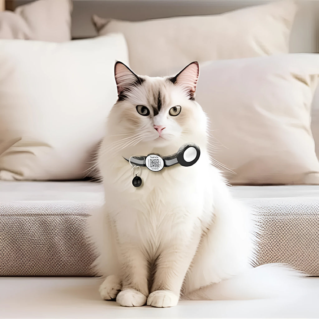 QR code pet collar with silicone AirTag case, reflective stripe or three-line rope, black pink sky blue, 30.48cm