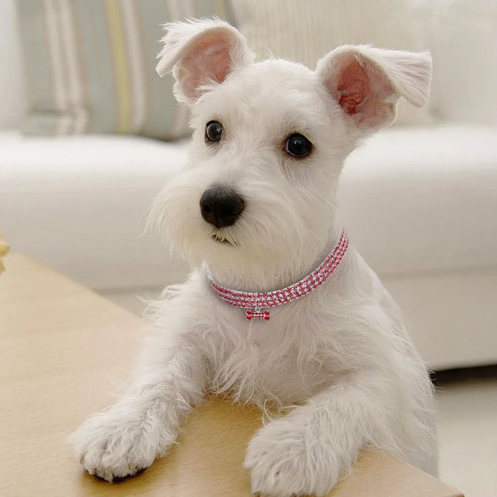 Rhinestone dog collar with crystal pendant in blue, white or pink for small dogs and cats