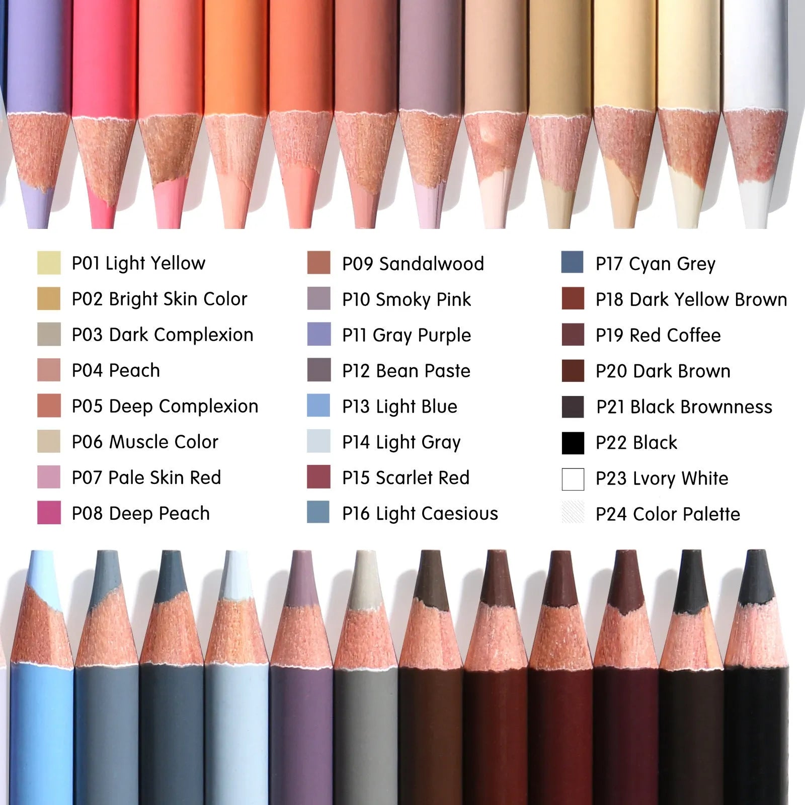 Set of 24 skin tone colour pencils in a round brush pot inside a silver iron box.