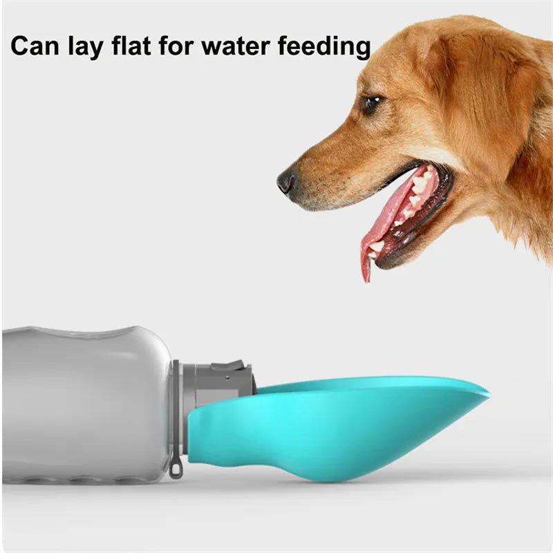 Blue grey portable dog water bottle with foldable drinking bowl extended, showing 800ml capacity.