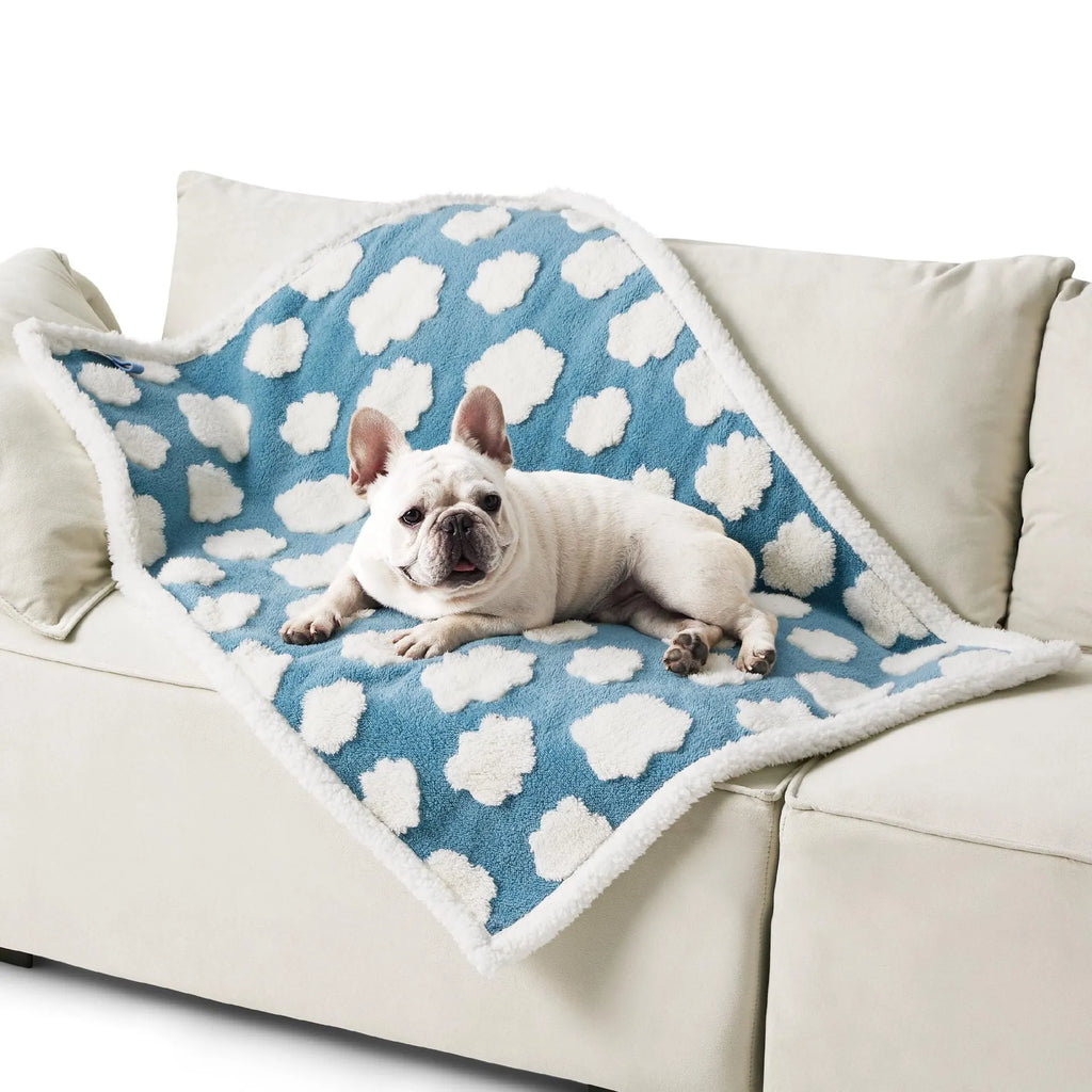 Cotton waterproof dog blanket showing quilt pattern design in multiple size options