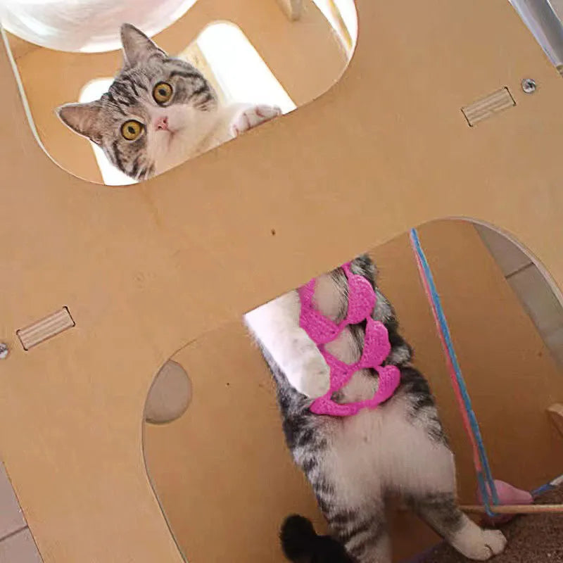 Cat wearing a polyester bikini costume in multiple colour options for Halloween or festival events