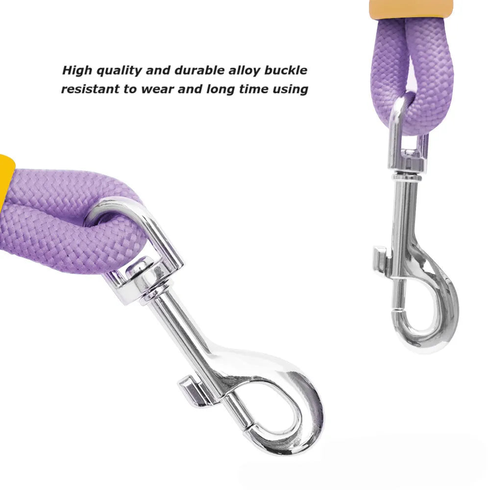 Nylon dog traction leash with foam handle showing black, light purple, sky blue and yellow colour options