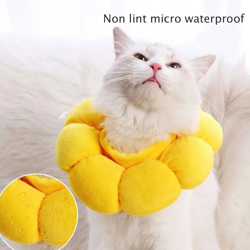 Soft cotton pet recovery collar with sunflower print, shown on a cat, featuring an adjustable band.