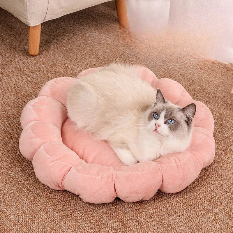 Blue half-surrounded plush pet bed with multi-colour petals, measuring 50x50cm, for cats and small dogs.