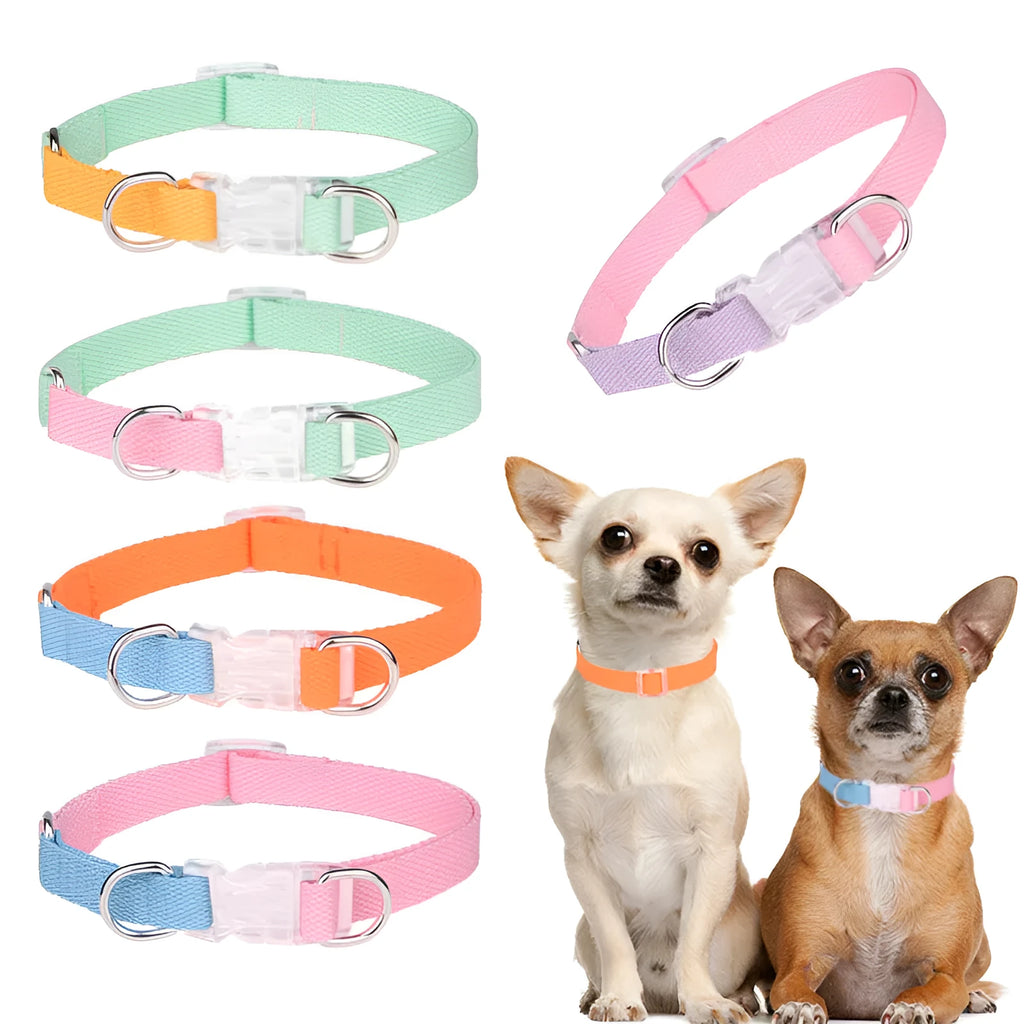 Polyester dog collar, lead, and chest strap harness set in colour combination with adjustable sizing