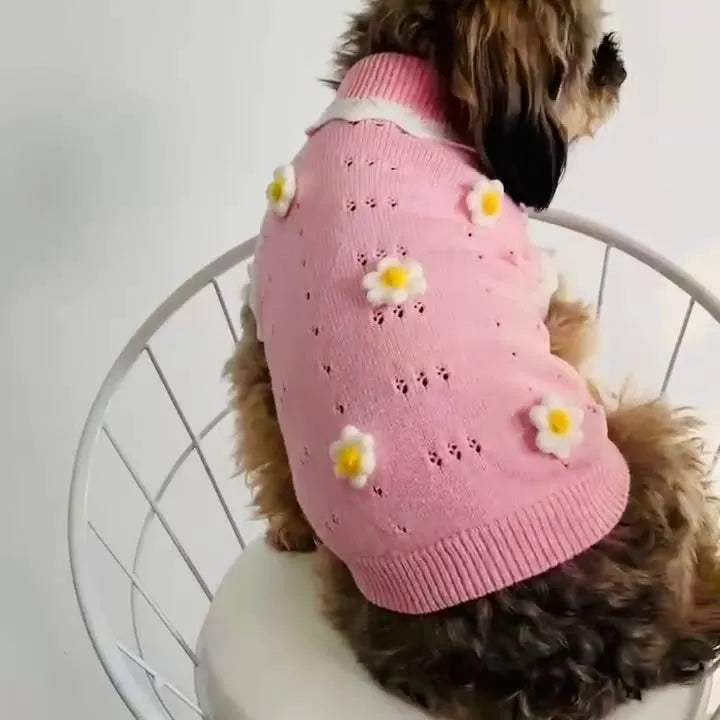 Green floral knitted dog sweater on a small dog, showing size chart for XS, S, M, L, XL.