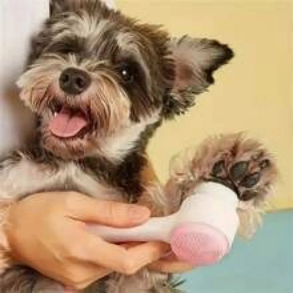 Blue pet paw brush measuring 13.5cm for dog and cat grooming with PP construction