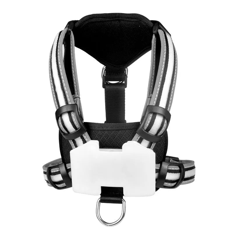 Luminous nylon dog lead with seven-colour LED lights and USB charging cable