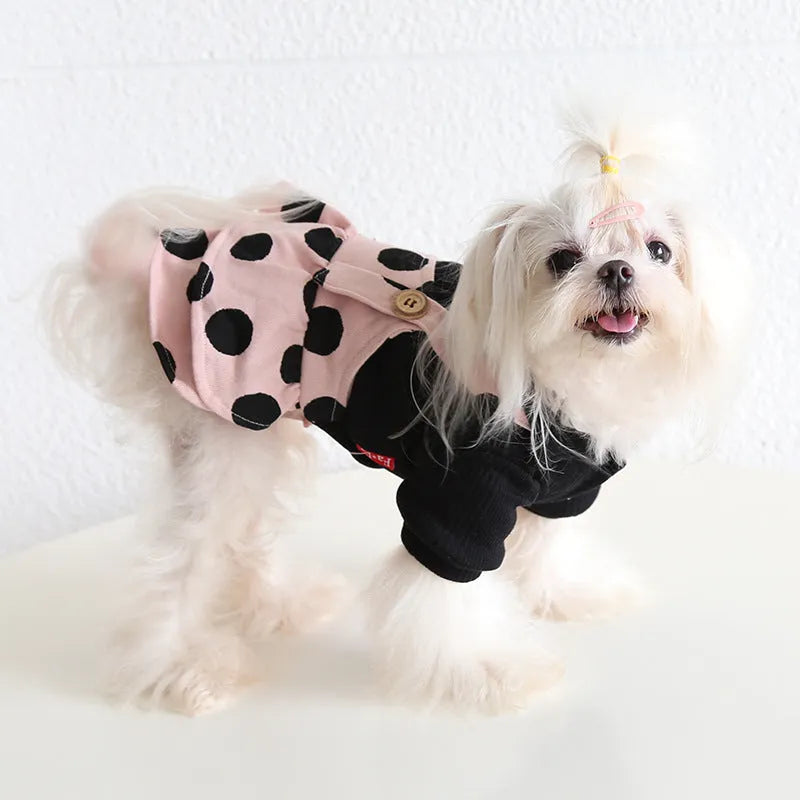 Dog wearing a cloth couple outfit with a shoulder strap and lapel, showing the four-legged suit style option.