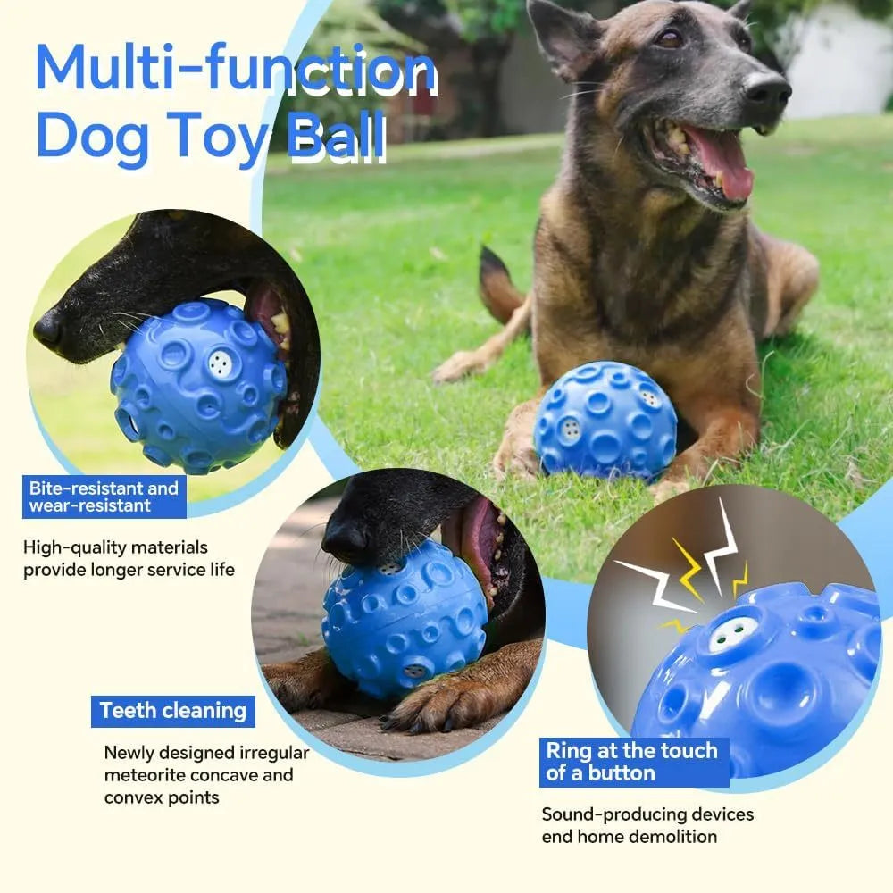 Dog toy ball in black, blue, green, orange, or yellow with squeaky sound generator and teeth-cleaning bumps