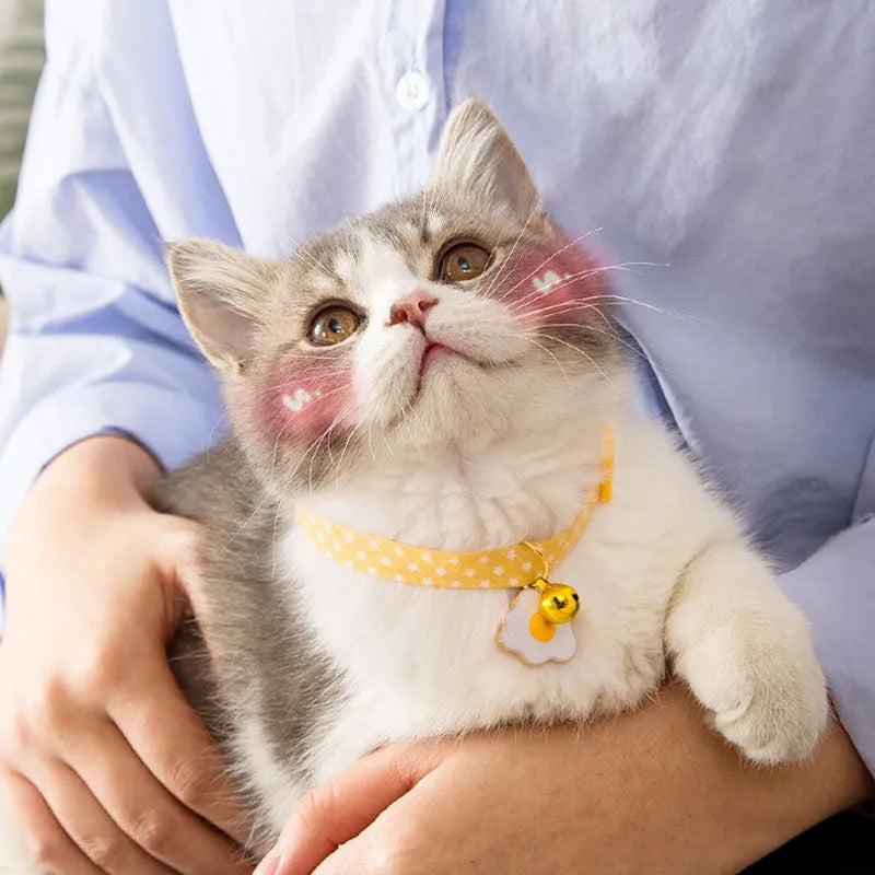 Adjustable cat collar with bell pendant and bow tie on small dog showing 17-33cm sizing range