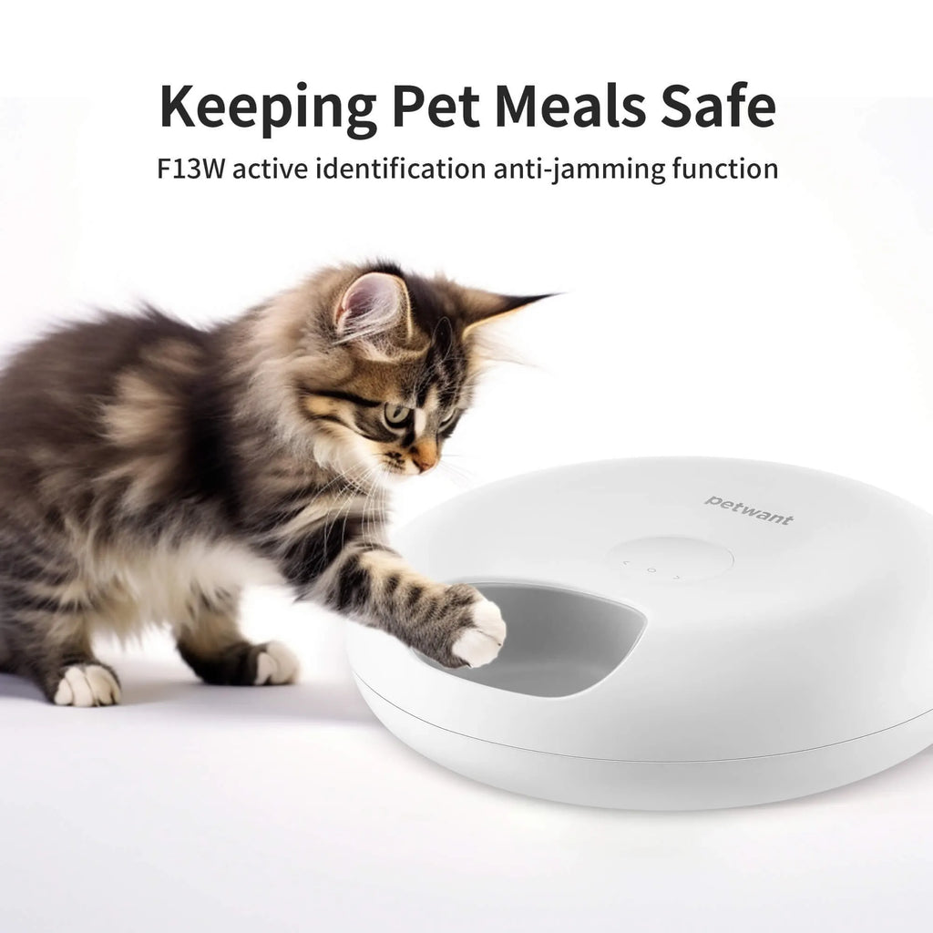 Donut Frost WiFi automatic pet feeder with app control display, six food compartments, and two ice packs.