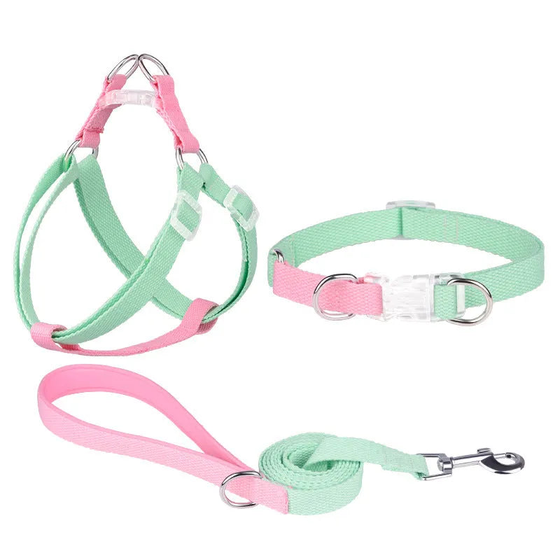 Polyester dog collar, lead, and chest strap harness set in colour combination with adjustable sizing