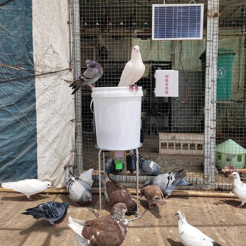Automatic chicken and duck feeding machine with solar timer and watertight caisson for outdoor use