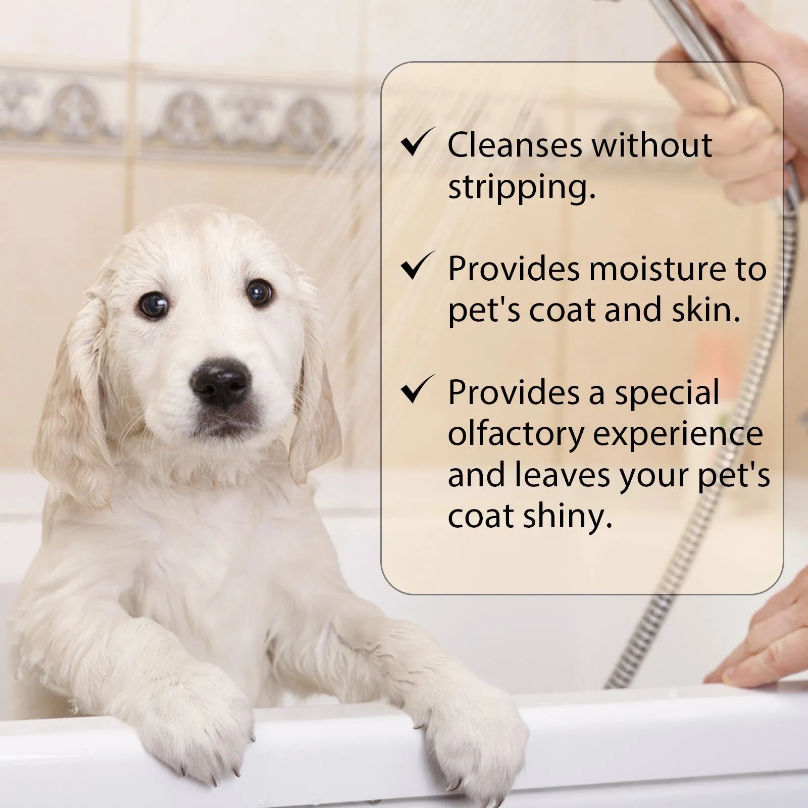 Dog shampoo bottle in 100ml and 300ml sizes with mild formula for cleaning and reducing coat tangles