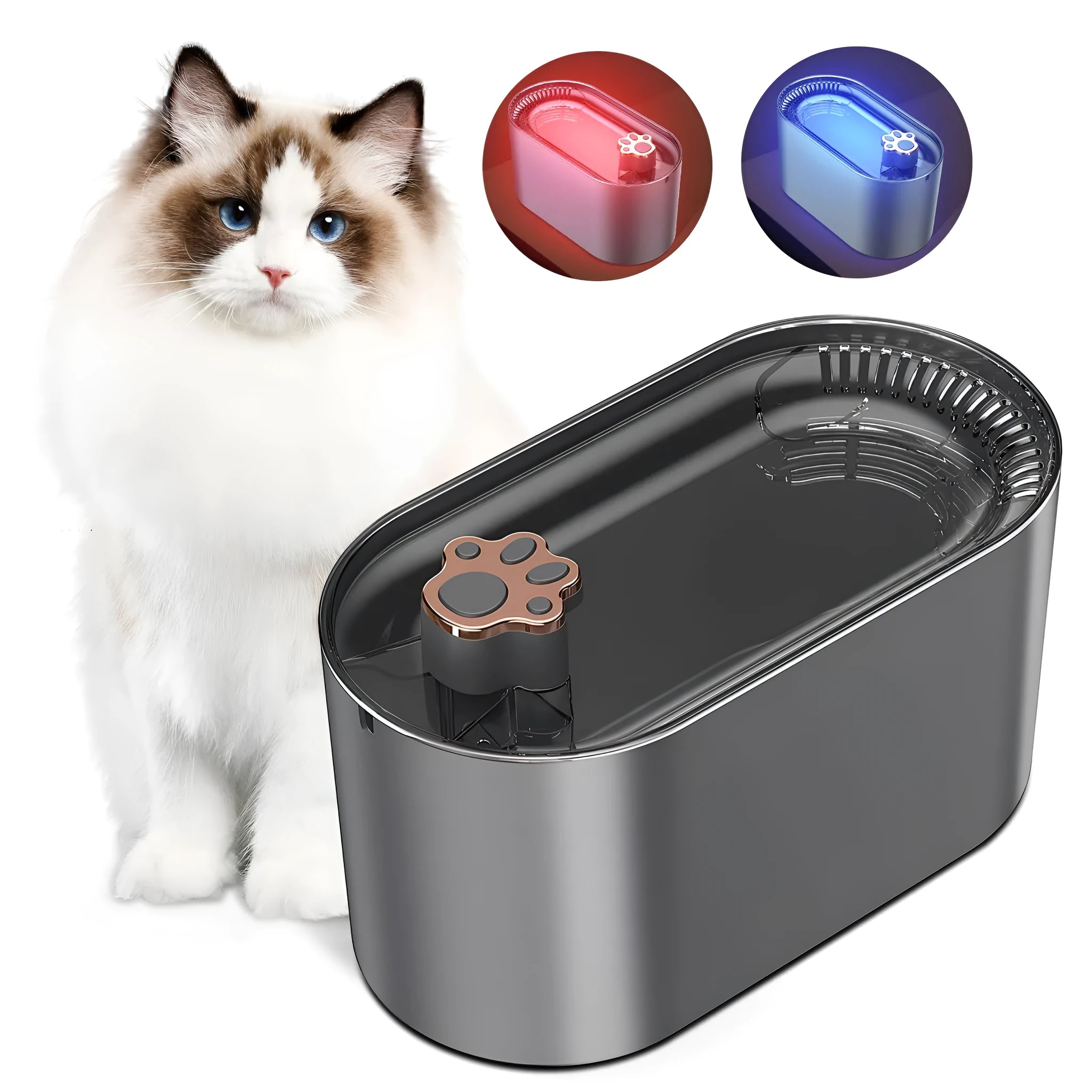 Berlin blue automatic cat water fountain with filter, LED light, and 3L capacity on a kitchen floor.