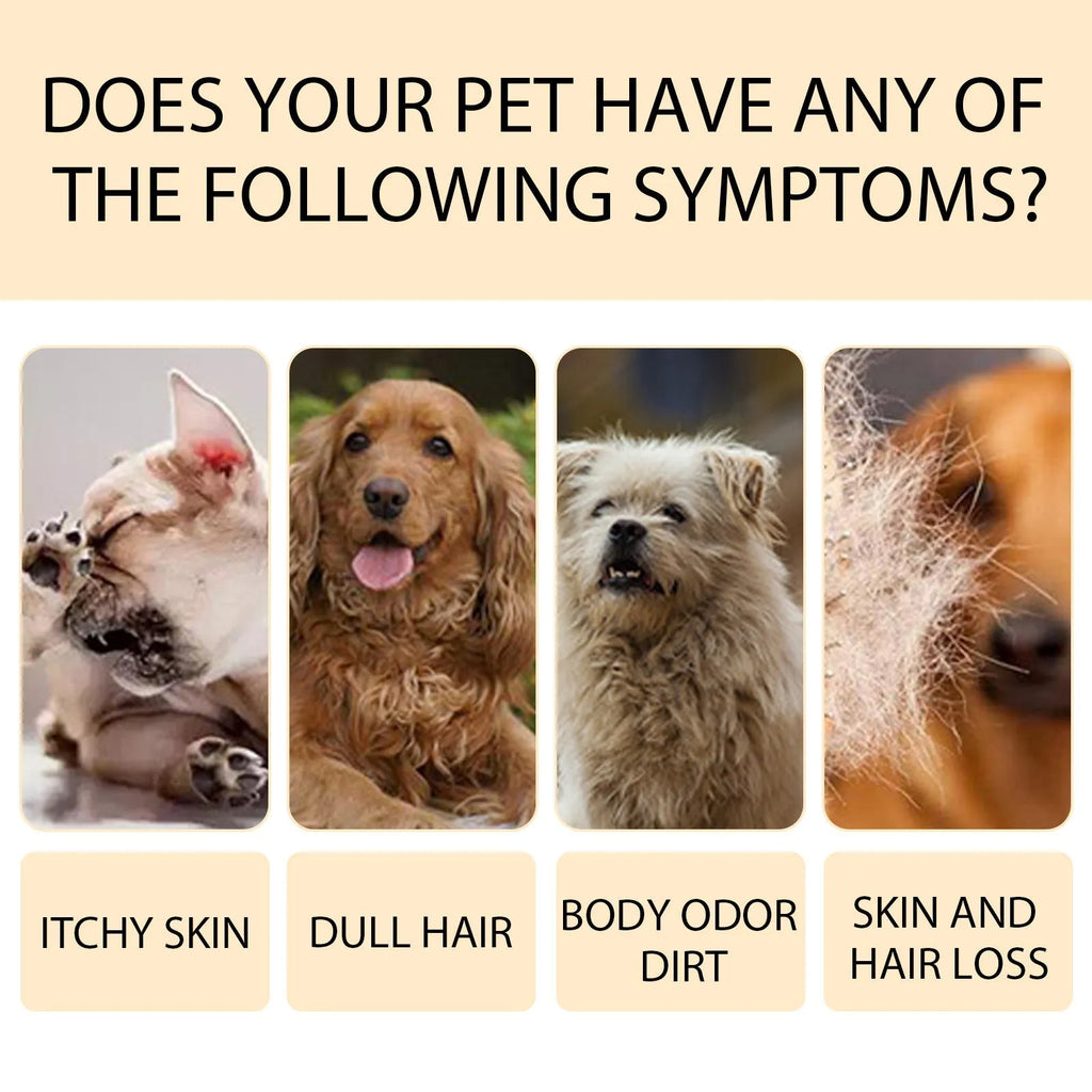 Dog shampoo bottle in 100ml and 300ml sizes with mild formula for cleaning and reducing coat tangles