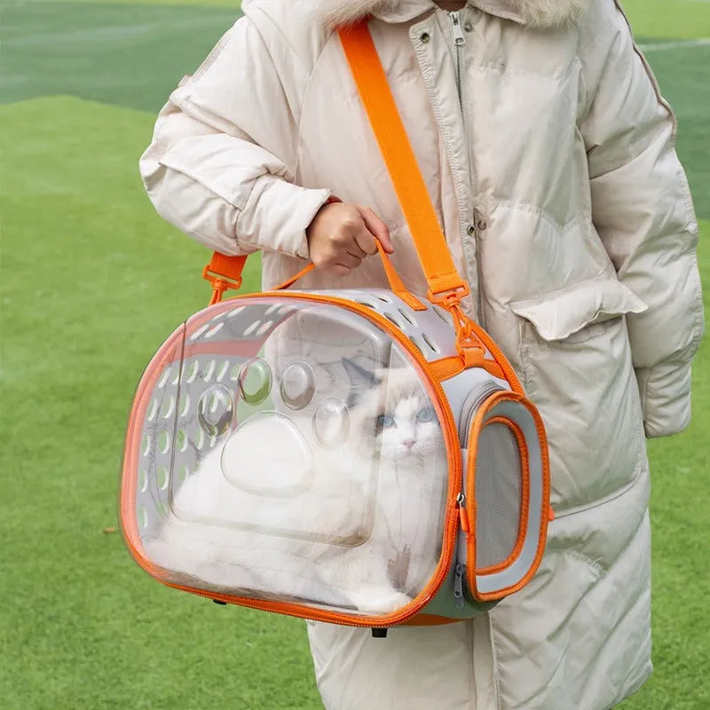 Transparent hard EVA cat backpack in grass green, showing 42x28x35cm dimensions and foldable design for storage