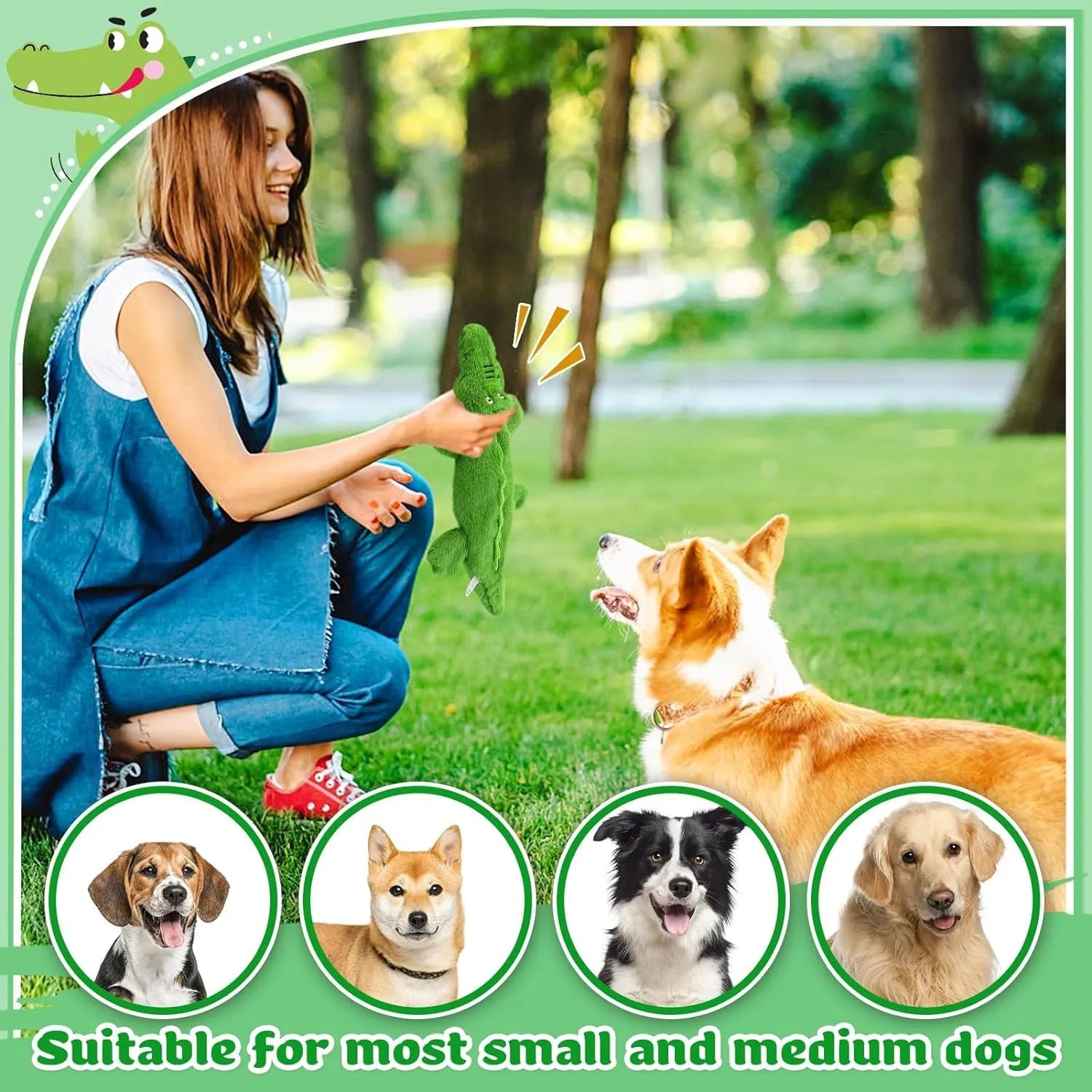 Green crocodile dog toy with no stuffing, 20cm length, for small medium aggressive chewers