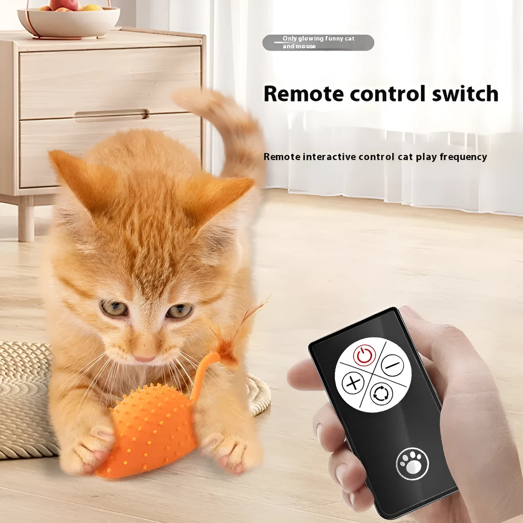 Remote control silicone mouse cat toy with feather attachment in cyan colour