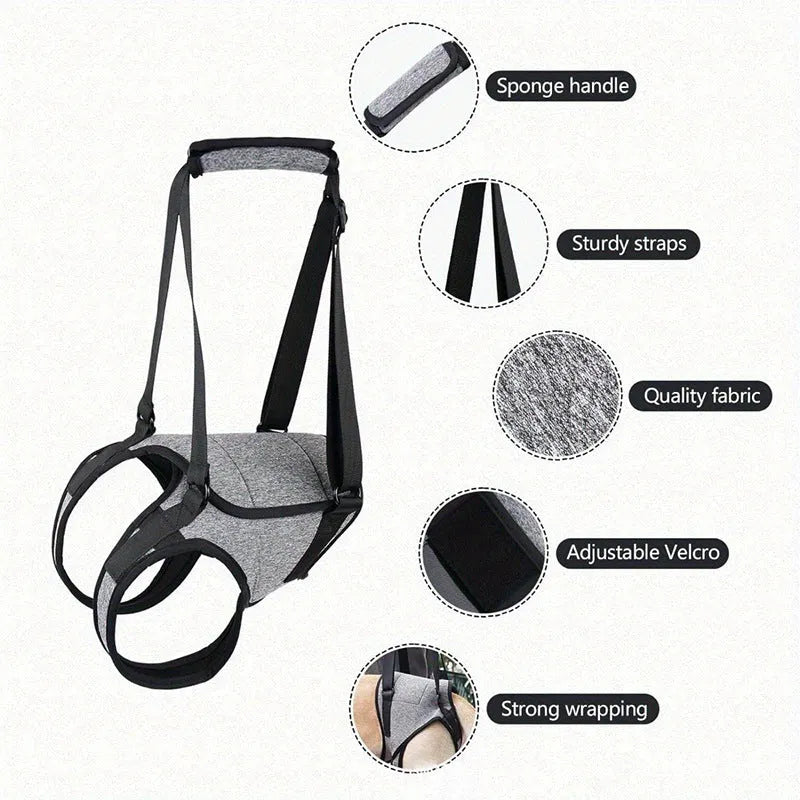 Grey neoprene dog rear leg recovery support belt showing adjustable design for injured dogs