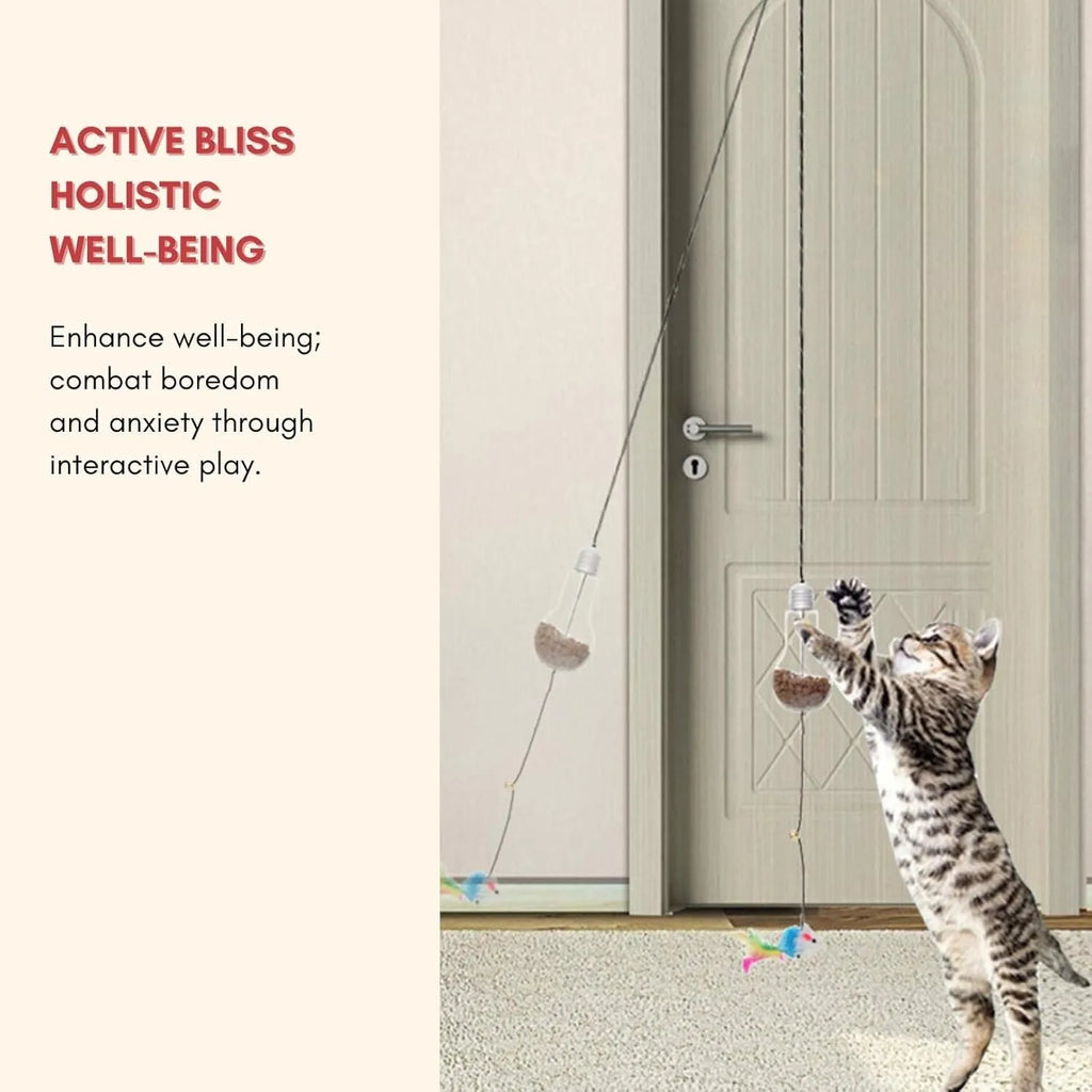 Interactive hanging cat toy with retractable elastic rope and treat reward bulb mounted on door frame