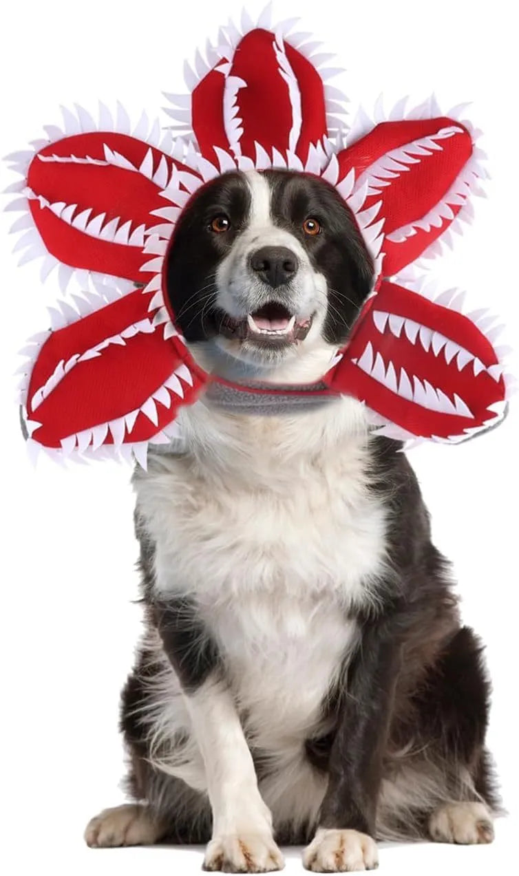 Dog wearing Halloween demon hat costume with headband and flower accessory