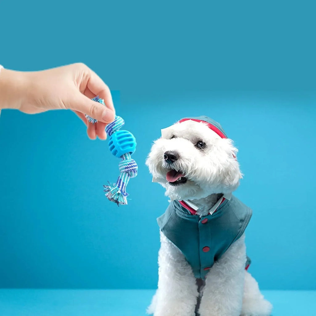 Blue dog chew toy with ropes and textured surfaces for dental cleaning