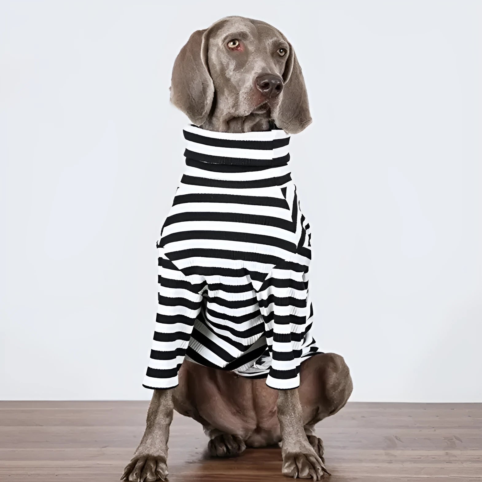 Black and white polyester dog jacket for large breeds in thin inner match design
