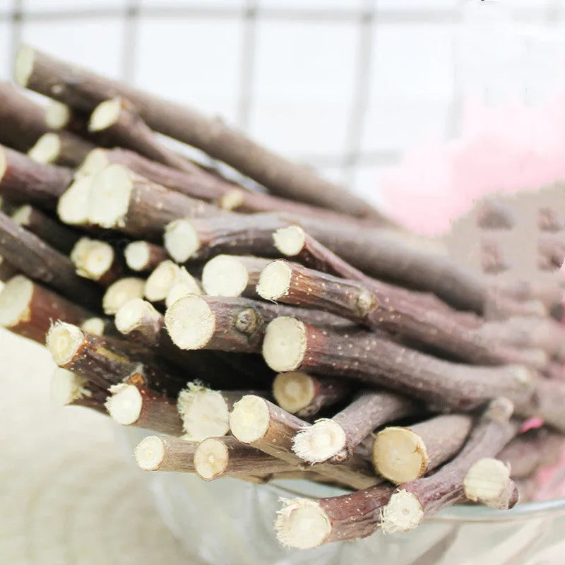 Dried apple branches 100g for rabbit, chinchilla and hamster teeth cleansing, each branch 10-13cm long