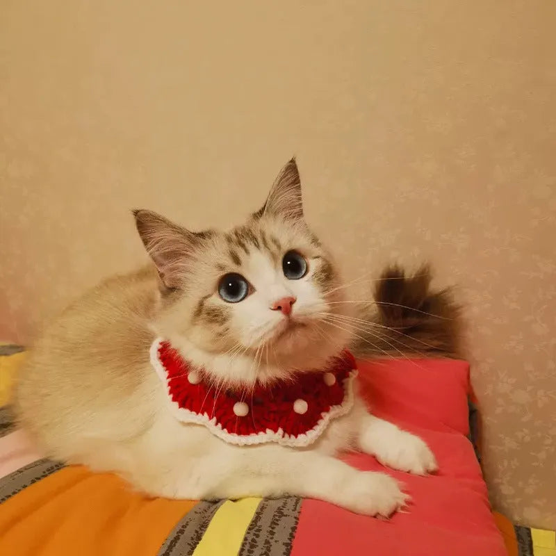 Wool knitted pet collar with cartoon pattern, sizes XS to L for neck 15-35cm, made from milk cotton