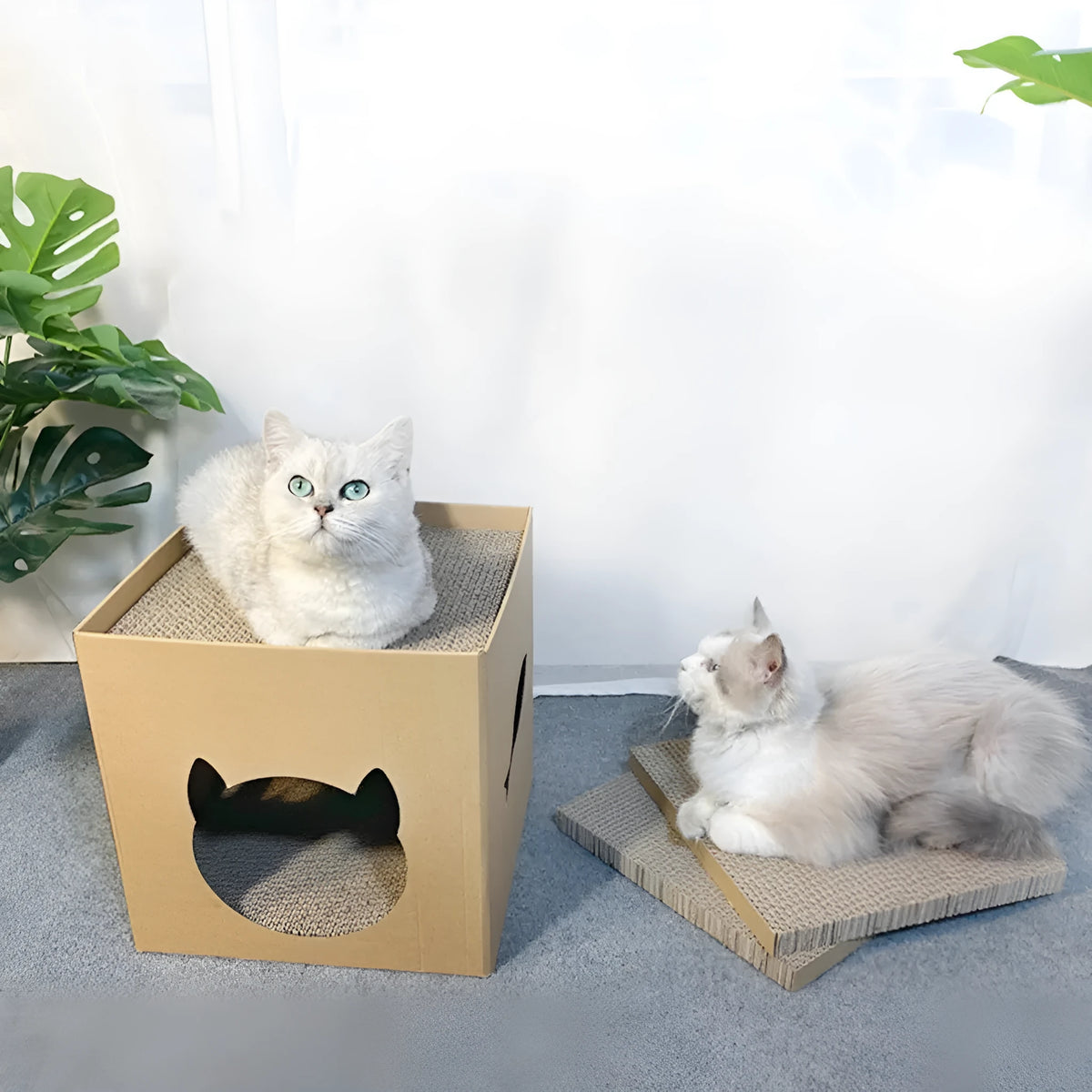 Vertical corrugated paper cat scratch board measuring 30cm cube in pet milk carton colour