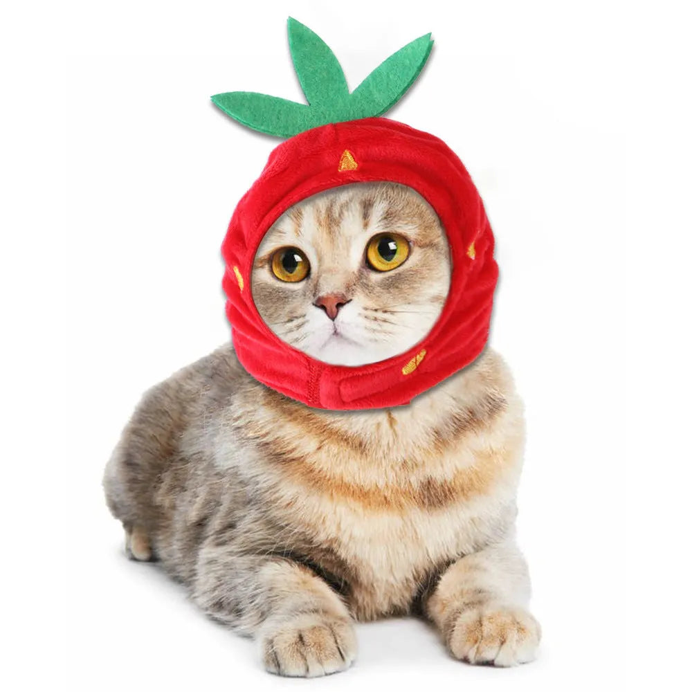 Sunflower embroidered cloth hat for cats on a white background.