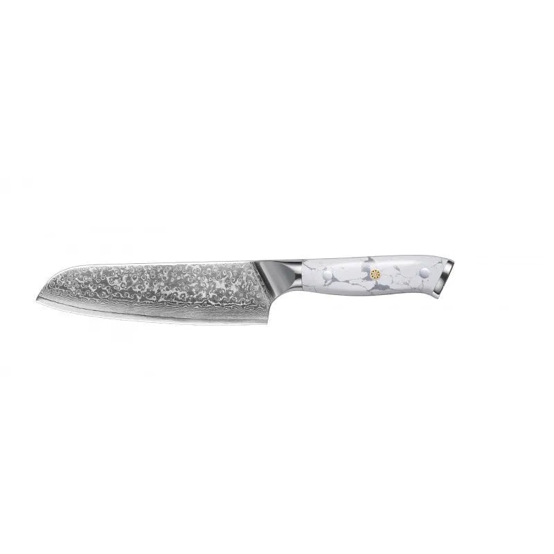 Damascus Special Household Combined Chef's Knife with 21cm VG10 steel blade and 11cm handle on a cutting board