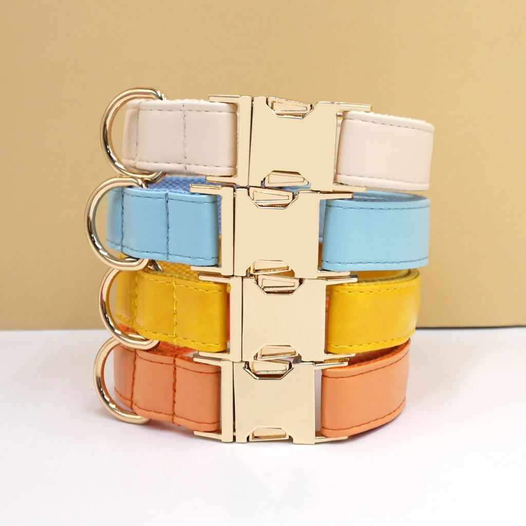 Leather dog collar with velvet texture section in colour block design, shown on a buckle.