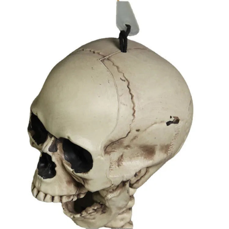 170cm white plastic skeleton model with articulated joints showing detailed anatomical bone structure